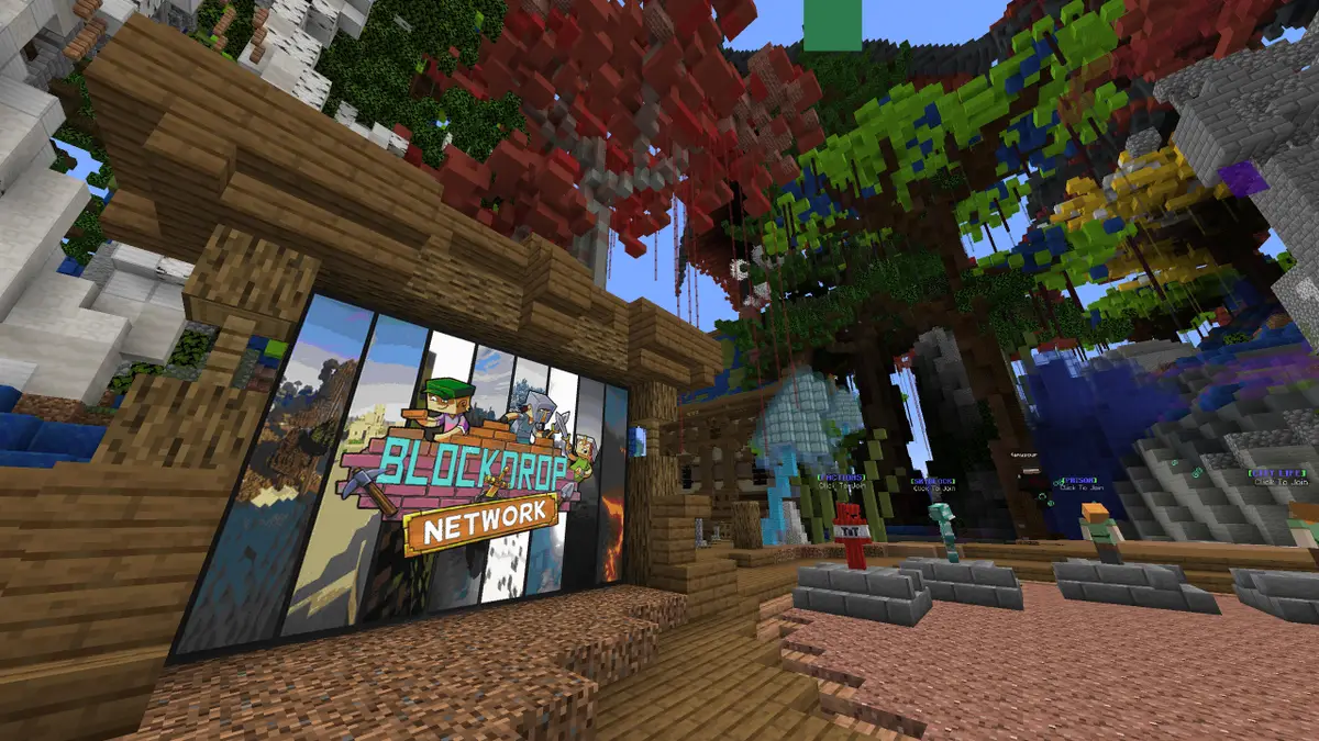 Life Skills: Transferable Lessons from Minecraft Server Communities