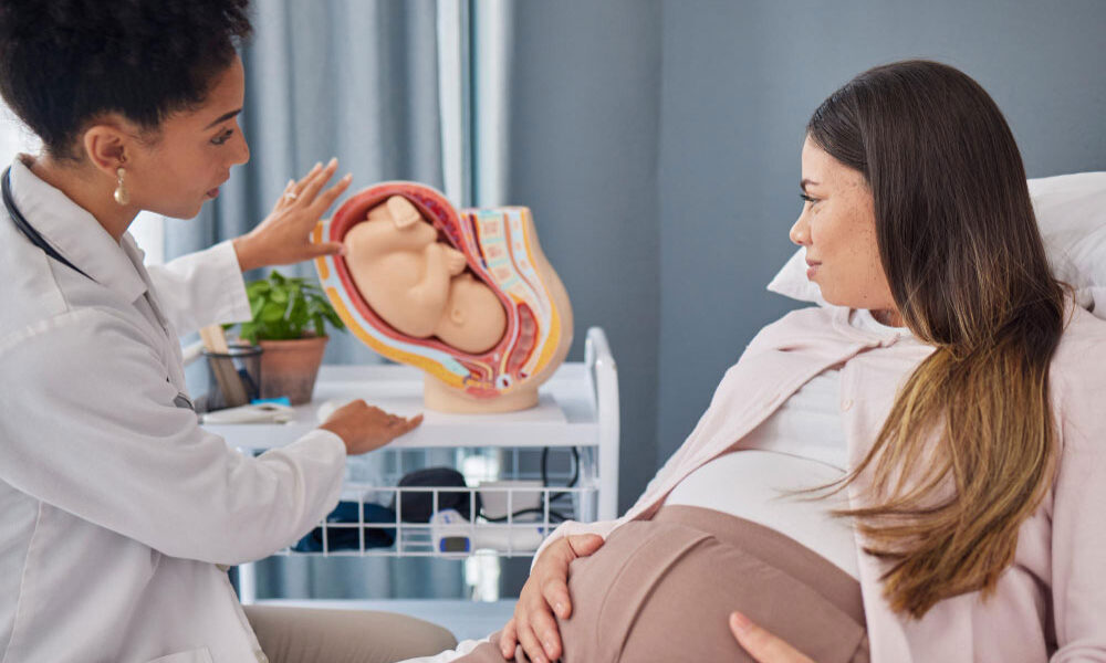Understanding the Role of a Gynecologist in Comprehensive Women’s Health