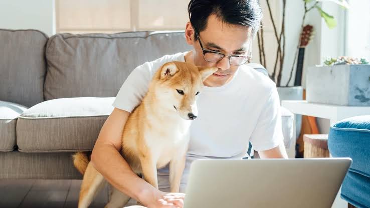 Custom SEO vs. AI-Generated SEO Strategy: Does Human Customization Still Win in 2026?